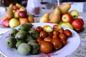 Экскурсия по парку Александрия, Сад Мур
